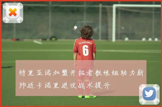 特里亚诺加盟开拓者教练组助力新帅迈卡诺里进攻战术提升