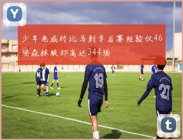少年老成对比马刺季后赛经验仅46场森林狼却高达344场